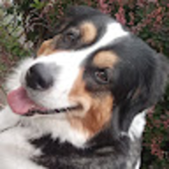 Meet your Posher, Nichole - Picture 1 of 1